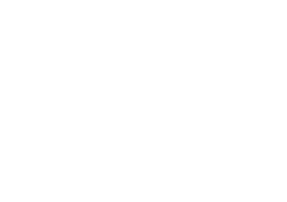 Invisible